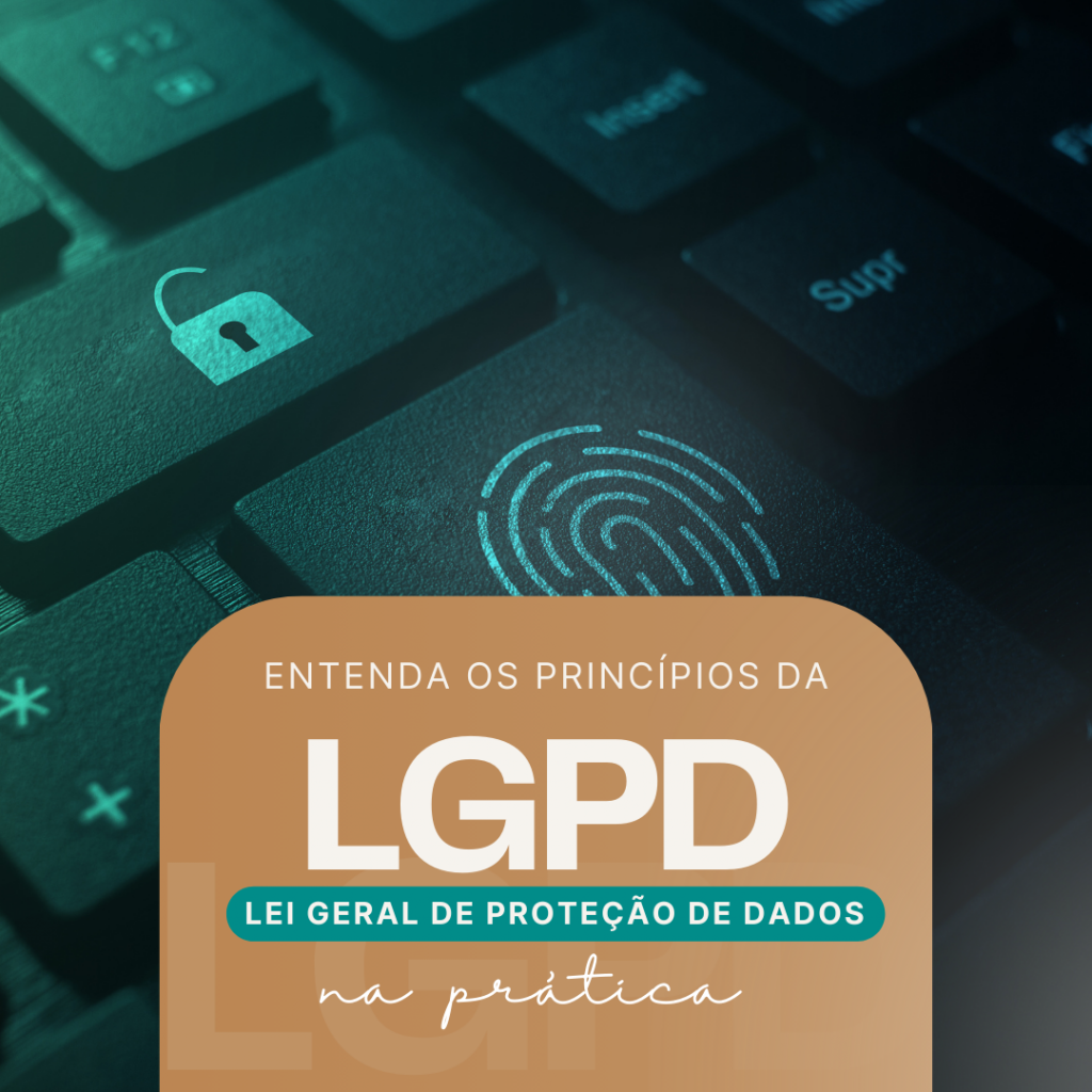 PROTEÇÃO DE DADOS: Entenda os princípios da LGPD na prática – Portal Doro