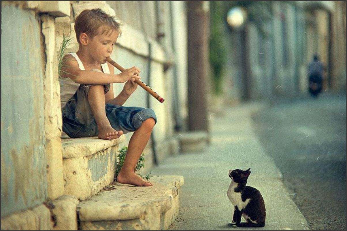 O MENINO, A FLAUTA, O GATO E O HOMEM DA MOTONETA