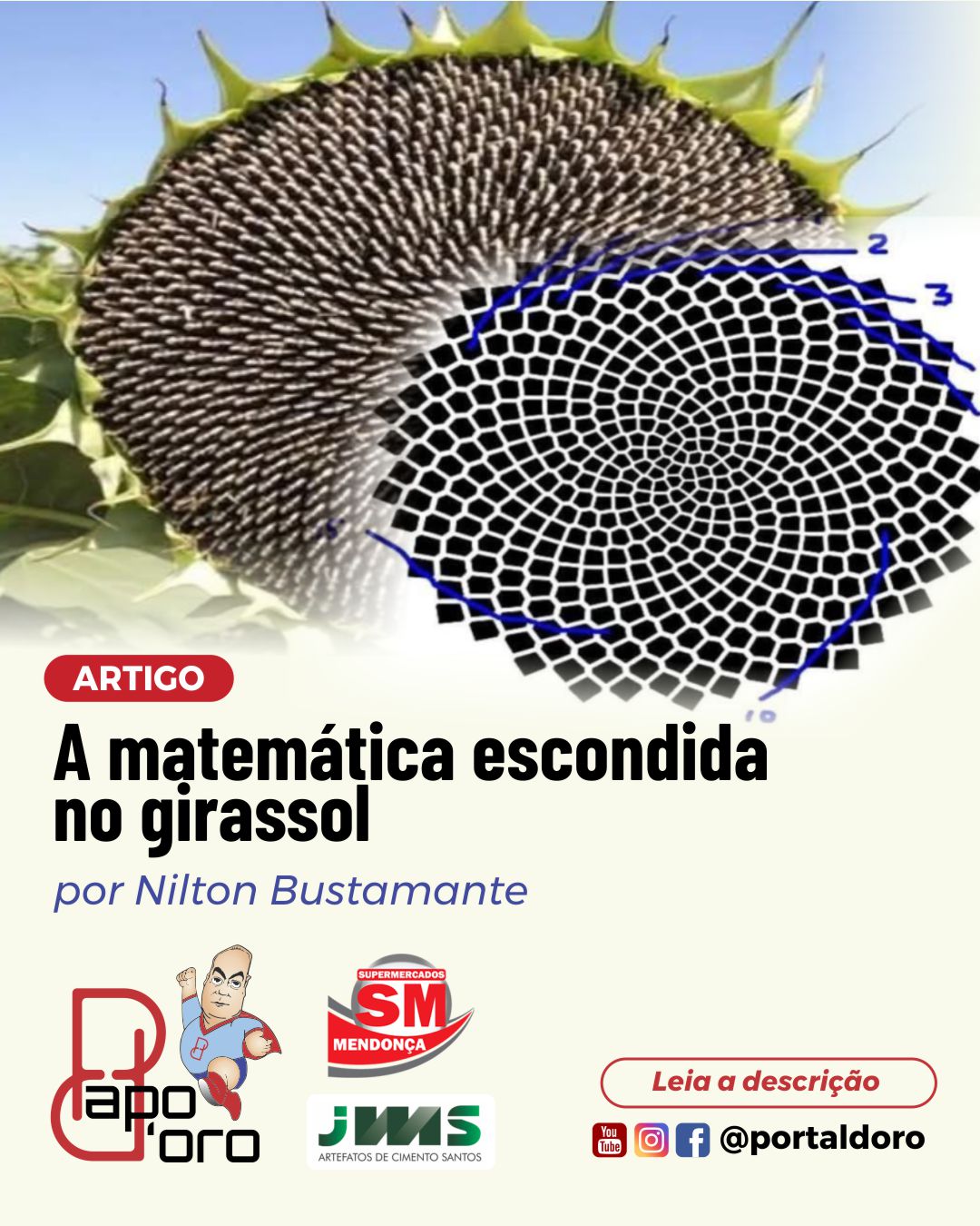 A matemática escondida no girassol